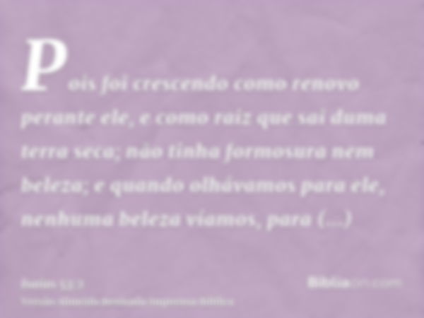 Pois foi crescendo como renovo perante ele, e como raiz que sai duma terra seca; não tinha formosura nem beleza; e quando olhávamos para ele, nenhuma beleza vía