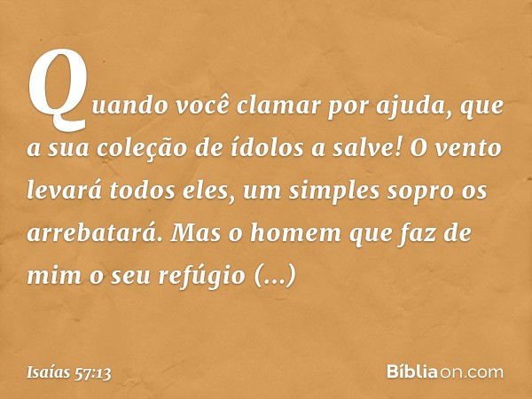 Quando você clamar por ajuda,
que a sua coleção de ídolos a salve!
O vento levará todos eles,
um simples sopro os arrebatará.
Mas o homem que faz de mim o seu r