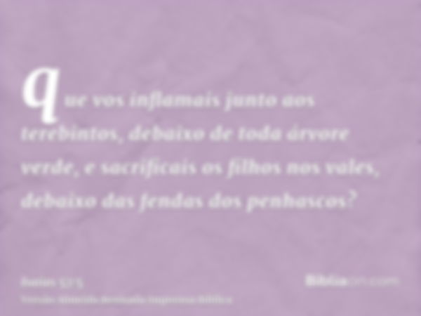 que vos inflamais junto aos terebintos, debaixo de toda árvore verde, e sacrificais os filhos nos vales, debaixo das fendas dos penhascos?