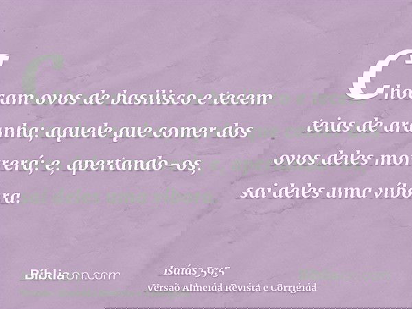 Chocam ovos de basilisco e tecem teias de aranha; aquele que comer dos ovos deles morrerá; e, apertando-os, sai deles uma víbora.