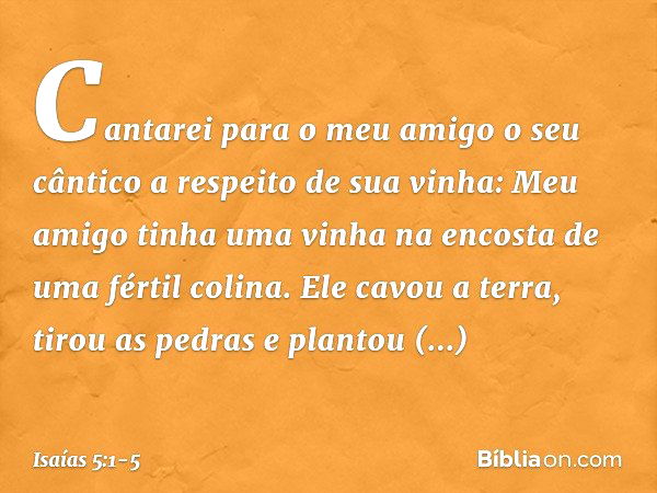 Cantarei para o meu amigo
o seu cântico
a respeito de sua vinha:
Meu amigo tinha uma vinha
na encosta de uma fértil colina. Ele cavou a terra, tirou as pedras
e