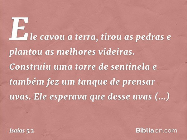 Ele cavou a terra, tirou as pedras
e plantou as melhores videiras.
Construiu uma torre de sentinela
e também fez um tanque de prensar uvas.
Ele esperava que des