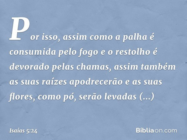 Por isso, assim como a palha
é consumida pelo fogo
e o restolho é devorado pelas chamas,
assim também as suas raízes apodrecerão
e as suas flores, como pó,
serã