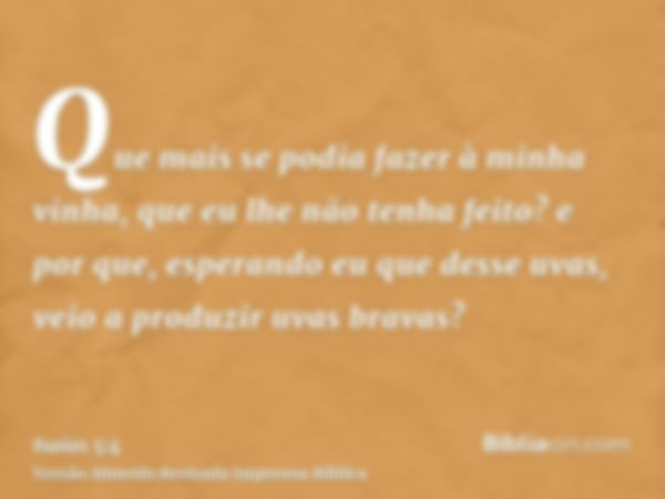 Que mais se podia fazer à minha vinha, que eu lhe não tenha feito? e por que, esperando eu que desse uvas, veio a produzir uvas bravas?