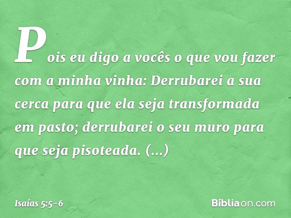 Pois eu digo a vocês o que vou fazer
com a minha vinha:
Derrubarei a sua cerca
para que ela seja transformada em pasto;
derrubarei o seu muro
para que seja piso