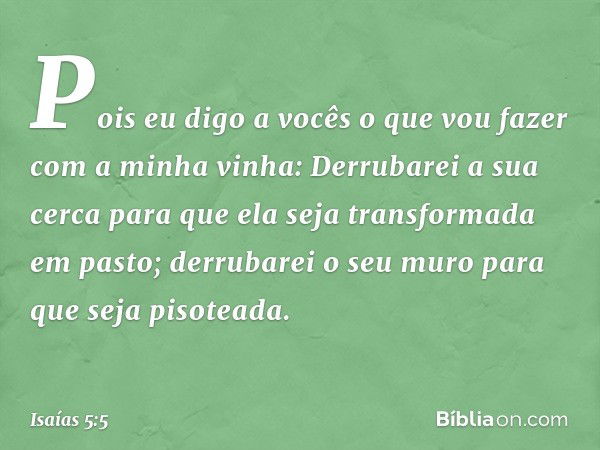 Pois eu digo a vocês o que vou fazer
com a minha vinha:
Derrubarei a sua cerca
para que ela seja transformada em pasto;
derrubarei o seu muro
para que seja piso