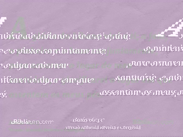 A glória do Líbano virá a ti; a faia, o pinheiro e o buxo conjuntamente, para ornarem o lugar do meu santuário, e glorificarei o lugar em que assentam os meus p