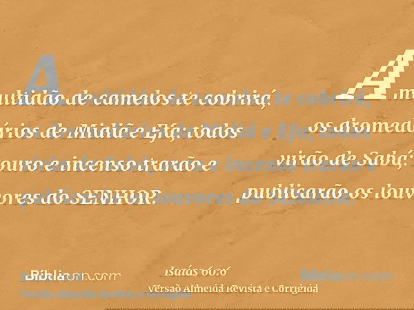A multidão de camelos te cobrirá, os dromedários de Midiã e Efa; todos virão de Sabá; ouro e incenso trarão e publicarão os louvores do SENHOR.