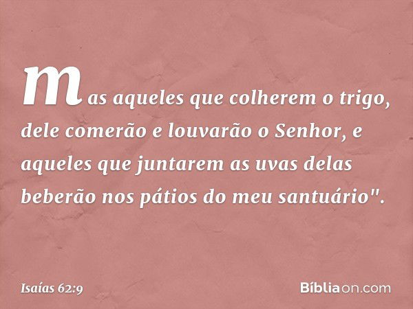 mas aqueles que colherem o trigo,
dele comerão
e louvarão o Senhor,
e aqueles que juntarem as uvas
delas beberão
nos pátios do meu santuário". -- Isaías 62:9