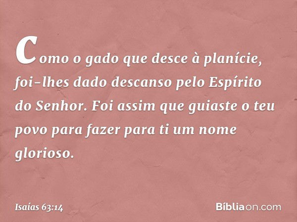 como o gado que desce à planície,
foi-lhes dado descanso
pelo Espírito do Senhor.
Foi assim que guiaste o teu povo
para fazer para ti um nome glorioso. -- Isaía