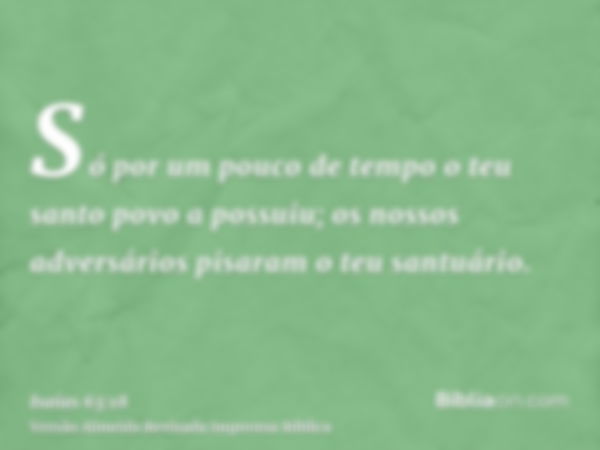 Só por um pouco de tempo o teu santo povo a possuiu; os nossos adversários pisaram o teu santuário.