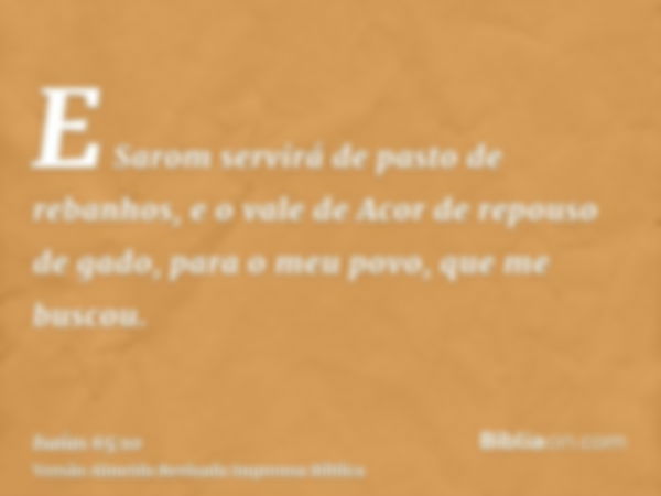 E Sarom servirá de pasto de rebanhos, e o vale de Acor de repouso de gado, para o meu povo, que me buscou.