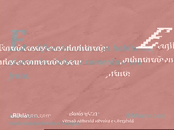 E edificarão casas e as habitarão; plantarão vinhas e comerão o seu fruto.