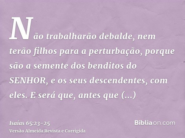 Não trabalharão debalde, nem terão filhos para a perturbação, porque são a semente dos benditos do SENHOR, e os seus descendentes, com eles.E será que, antes qu