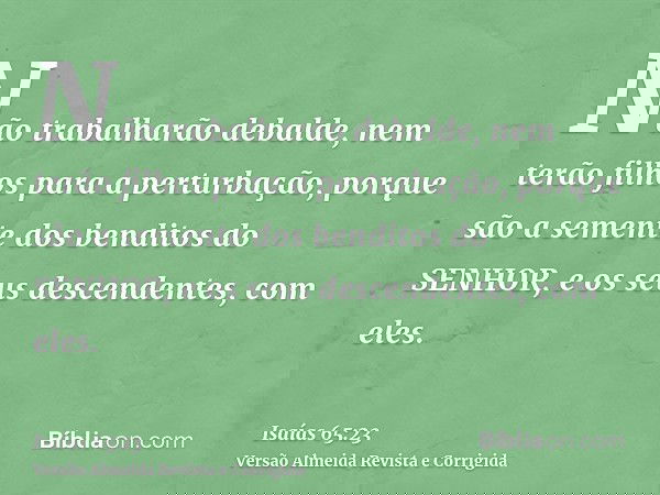 Não trabalharão debalde, nem terão filhos para a perturbação, porque são a semente dos benditos do SENHOR, e os seus descendentes, com eles.