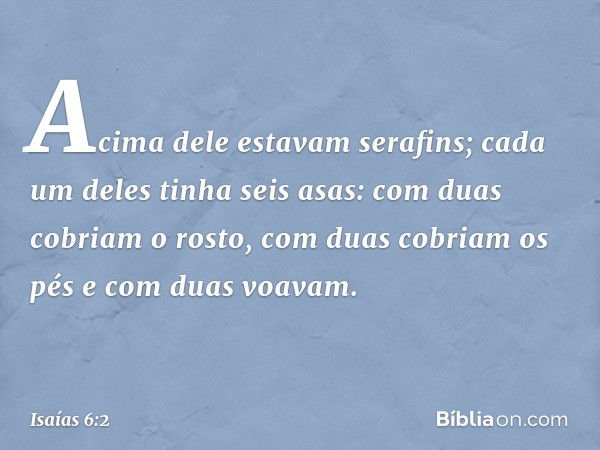 Acima dele estavam serafins; cada um deles tinha seis asas: com duas cobriam o rosto, com duas cobriam os pés e com duas voavam. -- Isaías 6:2