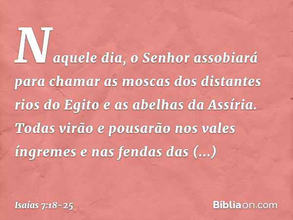 Naquele dia, o Senhor assobiará para chamar as moscas dos distantes rios do Egito e as abelhas da Assíria. Todas virão e pousa­rão nos vales íngremes e nas fend