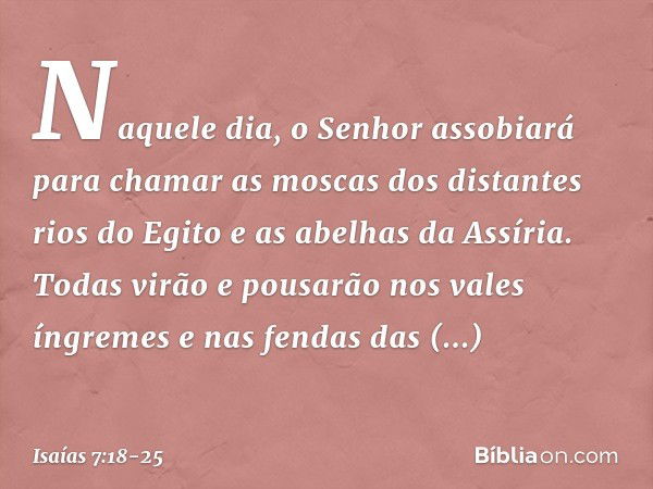 Naquele dia, o Senhor assobiará para chamar as moscas dos distantes rios do Egito e as abelhas da Assíria. Todas virão e pousa­rão nos vales íngremes e nas fend