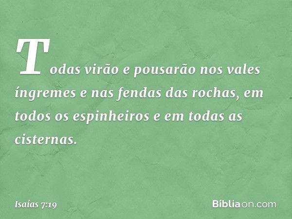 Todas virão e pousa­rão nos vales íngremes e nas fendas das ro­chas, em todos os espinheiros e em todas as cisternas. -- Isaías 7:19