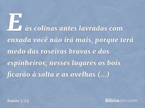 E às colinas antes lavra­das com enxada você não irá mais, porque terá medo das roseiras bravas e dos espinhei­ros; nesses lugares os bois ficarão à solta e as 