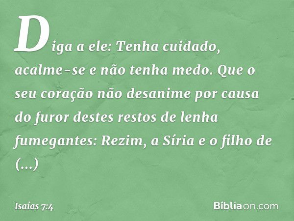 Diga a ele: Tenha cuidado, acalme-se e não tenha medo. Que o seu coração não desanime por causa do furor destes restos de lenha fumegantes: Rezim, a Síria e o f