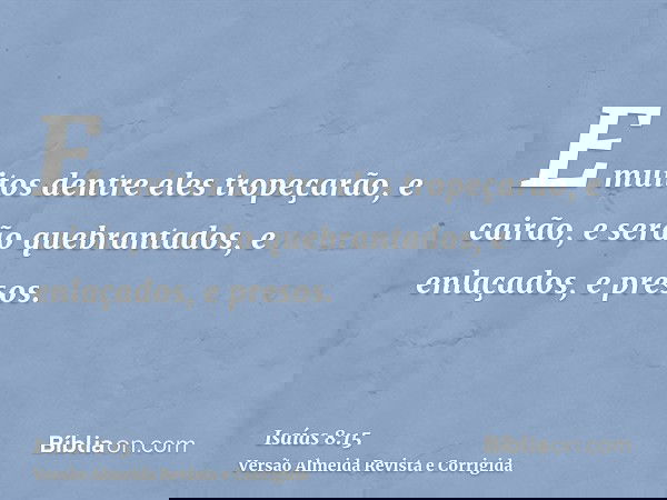 E muitos dentre eles tropeçarão, e cairão, e serão quebrantados, e enlaçados, e presos.