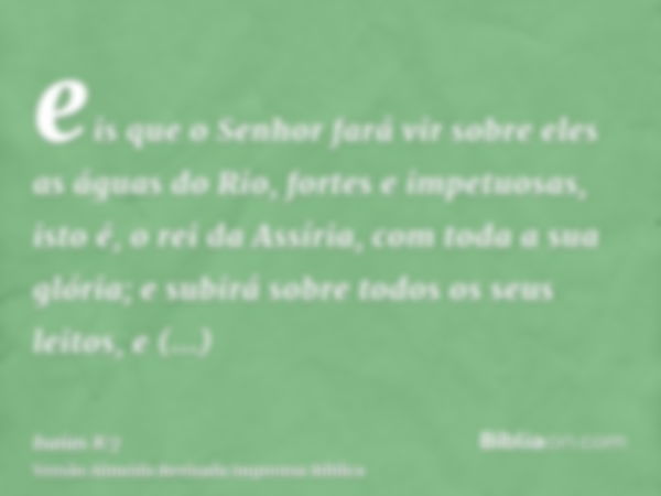 eis que o Senhor fará vir sobre eles as águas do Rio, fortes e impetuosas, isto é, o rei da Assíria, com toda a sua glória; e subirá sobre todos os seus leitos,