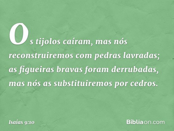 "Os tijolos caíram,
mas nós reconstruiremos
com pedras lavradas;
as figueiras bravas foram derrubadas,
mas nós as substituiremos por cedros". -- Isaías 9:10