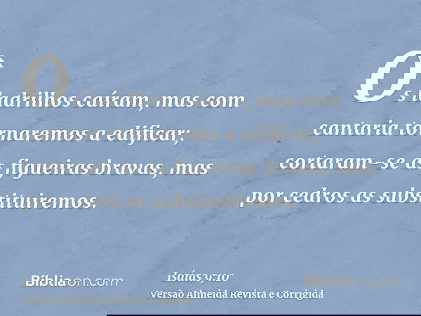 Os ladrilhos caíram, mas com cantaria tornaremos a edificar; cortaram-se as figueiras bravas, mas por cedros as substituiremos.