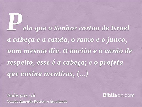 Pelo que o Senhor cortou de Israel a cabeça e a cauda, o ramo e o junco, num mesmo dia.O ancião e o varão de respeito, esse é a cabeça; e o profeta que ensina m