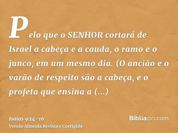 Pelo que o SENHOR cortará de Israel a cabeça e a cauda, o ramo e o junco, em um mesmo dia.(O ancião e o varão de respeito são a cabeça, e o profeta que ensina a