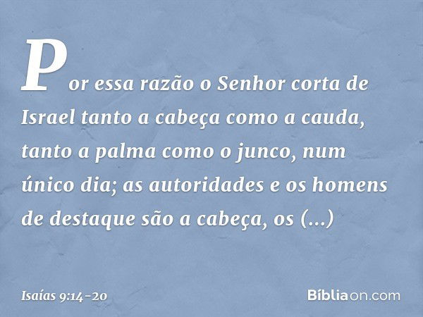 Por essa razão o Senhor corta de Israel
tanto a cabeça como a cauda,
tanto a palma como o junco,
num único dia; as autoridades e os homens de destaque
são a cab