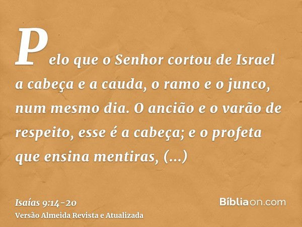 Pelo que o Senhor cortou de Israel a cabeça e a cauda, o ramo e o junco, num mesmo dia.O ancião e o varão de respeito, esse é a cabeça; e o profeta que ensina m