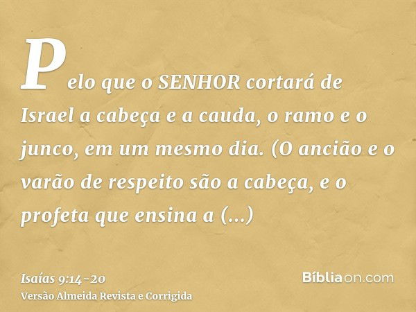 Pelo que o SENHOR cortará de Israel a cabeça e a cauda, o ramo e o junco, em um mesmo dia.(O ancião e o varão de respeito são a cabeça, e o profeta que ensina a