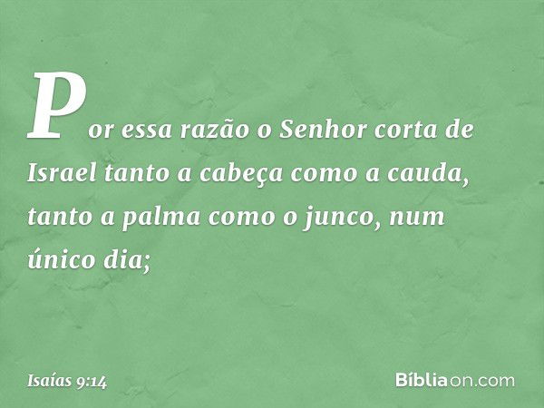 Por essa razão o Senhor corta de Israel
tanto a cabeça como a cauda,
tanto a palma como o junco,
num único dia; -- Isaías 9:14