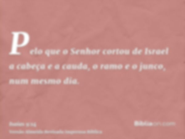 Pelo que o Senhor cortou de Israel a cabeça e a cauda, o ramo e o junco, num mesmo dia.