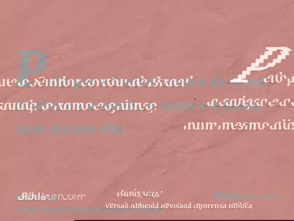 Pelo que o Senhor cortou de Israel a cabeça e a cauda, o ramo e o junco, num mesmo dia.