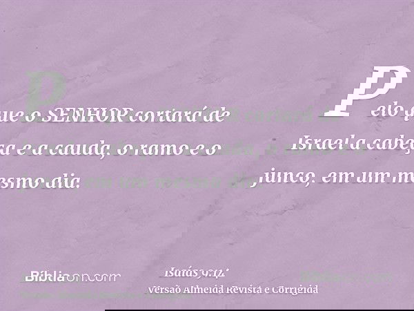 Pelo que o SENHOR cortará de Israel a cabeça e a cauda, o ramo e o junco, em um mesmo dia.