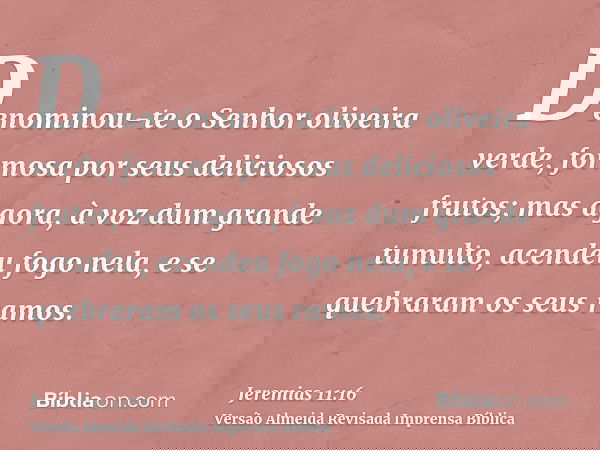 Denominou-te o Senhor oliveira verde, formosa por seus deliciosos frutos; mas agora, à voz dum grande tumulto, acendeu fogo nela, e se quebraram os seus ramos.