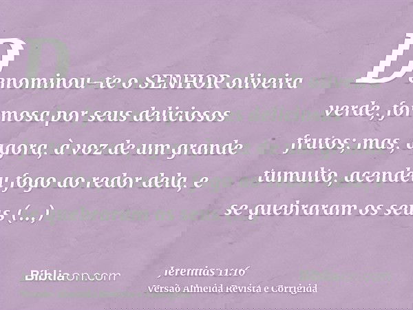 Denominou-te o SENHOR oliveira verde, formosa por seus deliciosos frutos; mas, agora, à voz de um grande tumulto, acendeu fogo ao redor dela, e se quebraram os