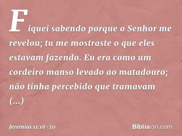 Fiquei sabendo porque o Senhor me revelou; tu me mostraste o que eles estavam fazendo. Eu era como um cordeiro manso levado ao matadouro; não tinha percebido qu