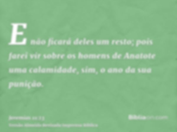 E não ficará deles um resto; pois farei vir sobre os homens de Anatote uma calamidade, sim, o ano da sua punição.