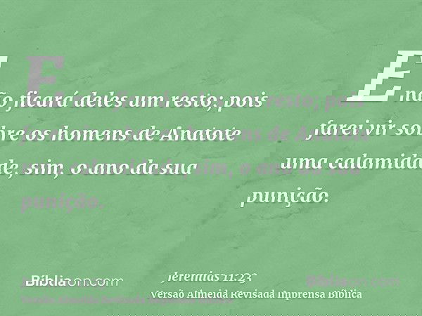 E não ficará deles um resto; pois farei vir sobre os homens de Anatote uma calamidade, sim, o ano da sua punição.