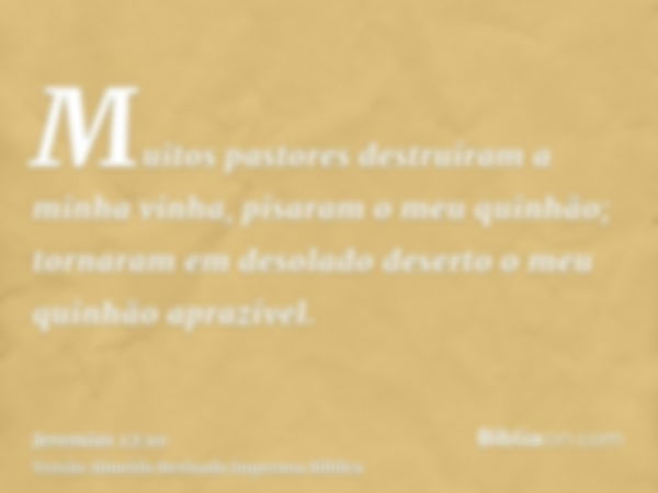 Muitos pastores destruíram a minha vinha, pisaram o meu quinhão; tornaram em desolado deserto o meu quinhão aprazível.