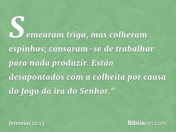 Semearam trigo,
mas colheram espinhos;
cansaram-se de trabalhar
para nada produzir.
Estão desapontados com a colheita
por causa do fogo da ira
do Senhor." -- Je