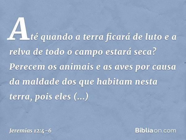 Até quando a terra ficará de luto
e a relva de todo o campo estará seca?
Perecem os animais e as aves
por causa da maldade
dos que habitam nesta terra,
pois ele