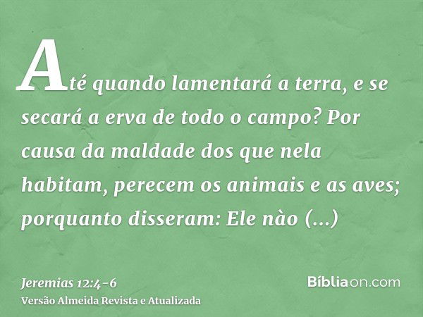 Até quando lamentará a terra, e se secará a erva de todo o campo? Por causa da maldade dos que nela habitam, perecem os animais e as aves; porquanto disseram: E