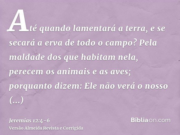 Até quando lamentará a terra, e se secará a erva de todo o campo? Pela maldade dos que habitam nela, perecem os animais e as aves; porquanto dizem: Ele não verá