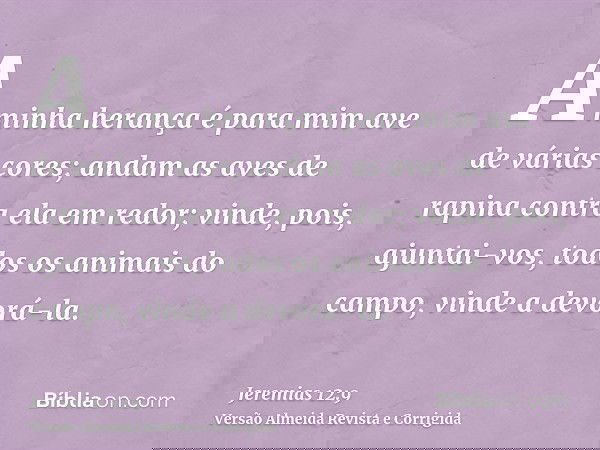 A minha herança é para mim ave de várias cores; andam as aves de rapina contra ela em redor; vinde, pois, ajuntai-vos, todos os animais do campo, vinde a devorá