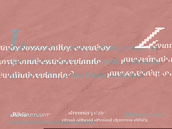 Levantai os vossos olhos, e vede os que vêm do norte; onde está o rebanho que se te deu, o teu lindo rebanho?